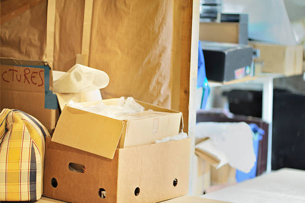 Attic Cleanout Services in Jacksonville, FL